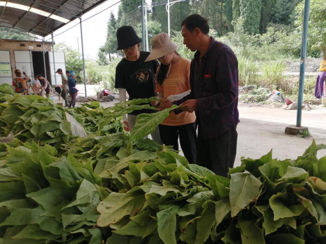 说明:2B0F0477A91D2B78FB5E139FA933EDC8