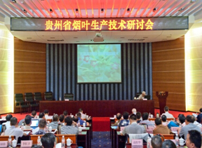 \研讨会现场（一）