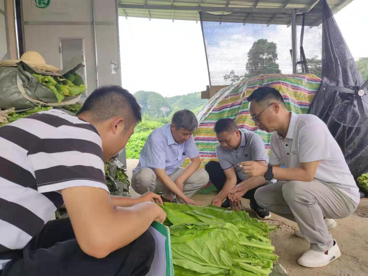 说明:c8c2297c5360ca6e5eb00cfb188fe1e