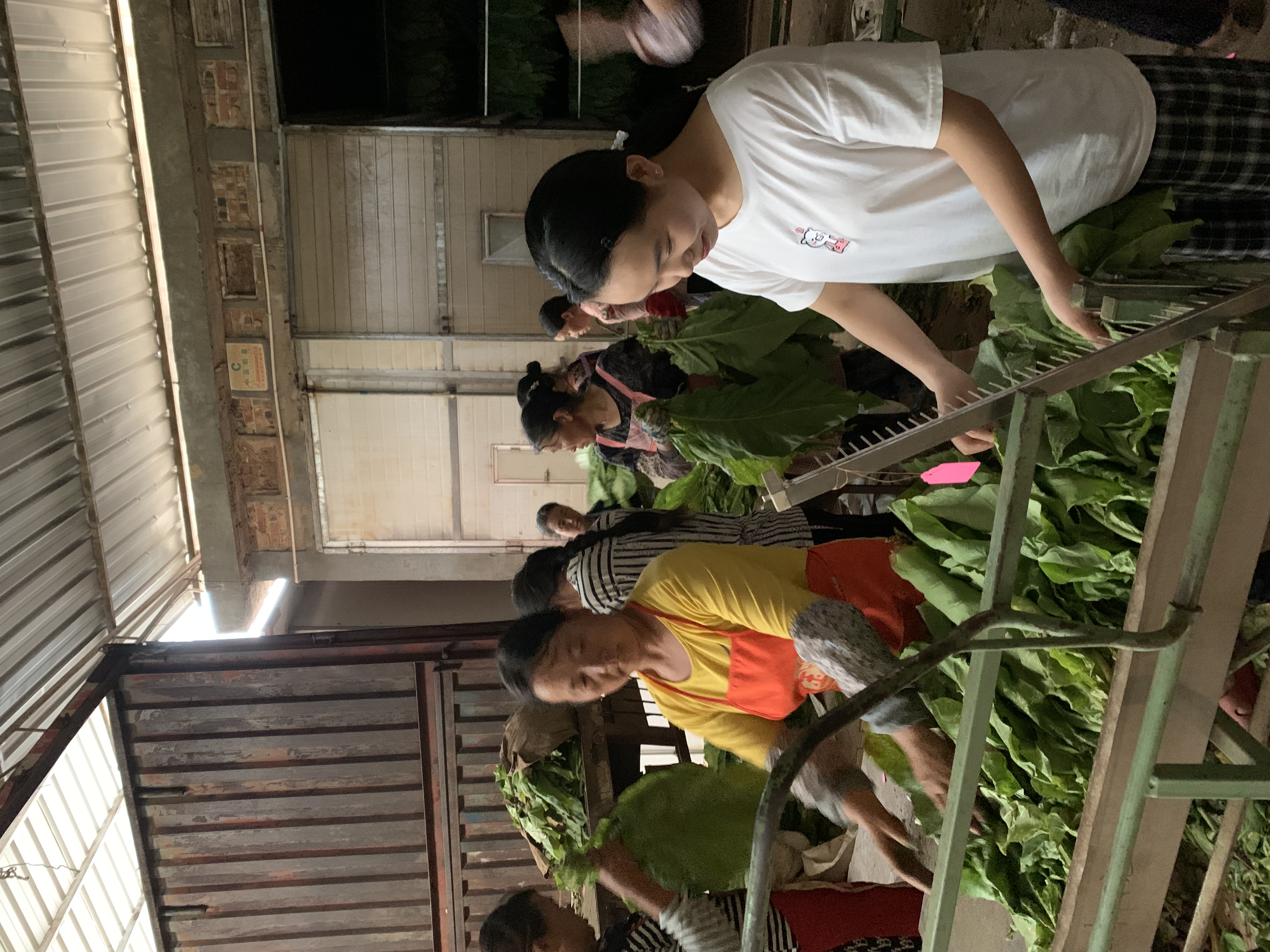 说明:0623e0be6ab408ec64cd28f2fc083dc