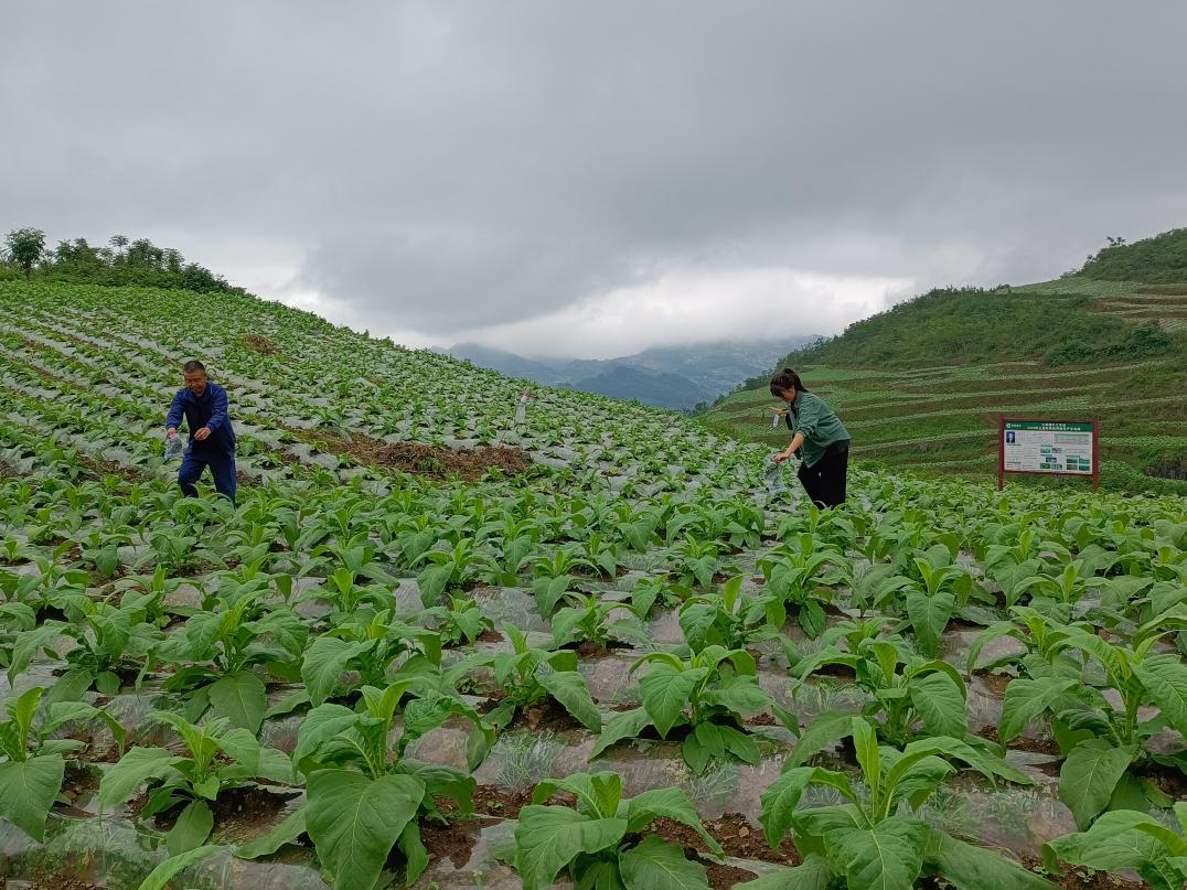 说明:1658155396560.jpg