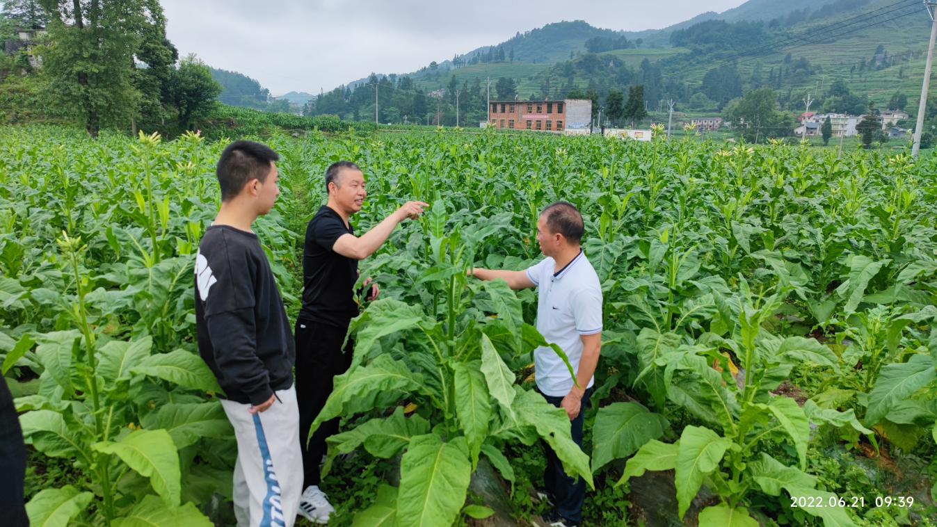 说明:1658155757933.jpg